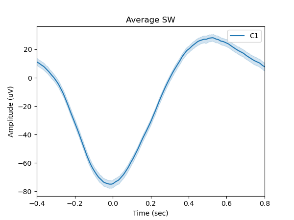 Average Slow Wave