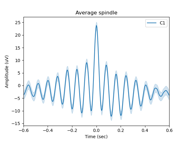 Average Spindle