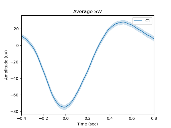 Average slow wave