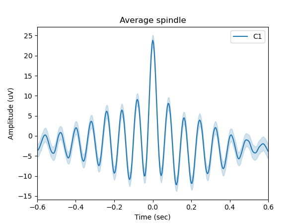 Average sleep spindle