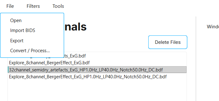 The File menu with the entries Open, Import BIDS, Export, and Convert / Process.